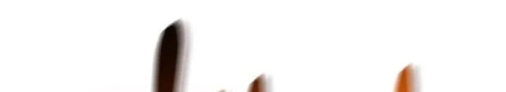 Healer Cấp S Chữa Trị Cho Quái Vật Chapter 39 - 218