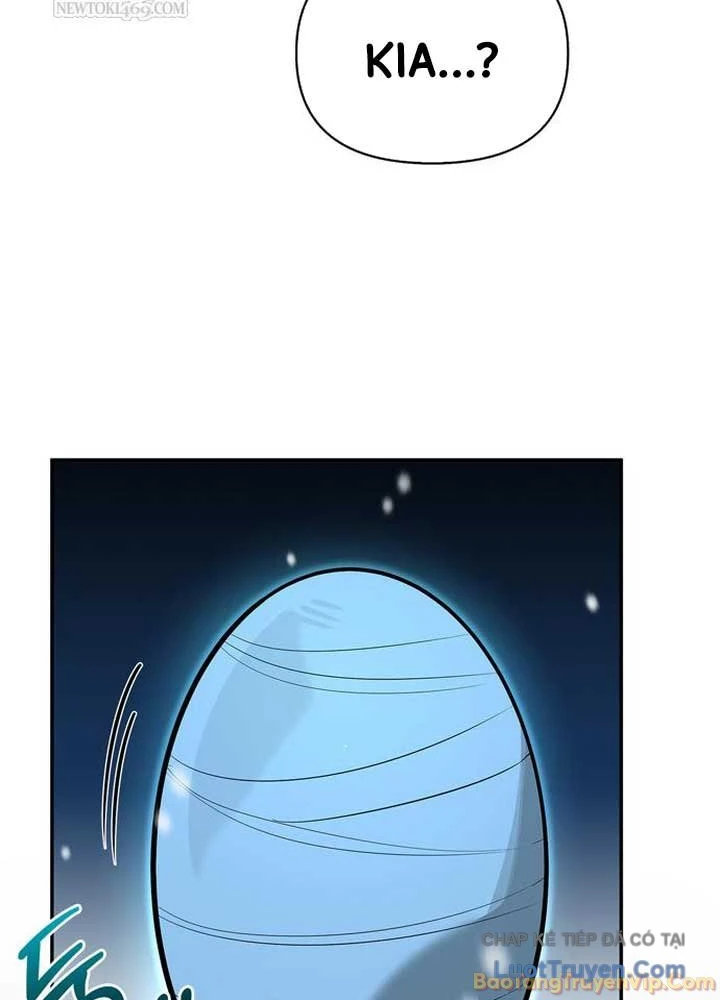 Healer Cấp S Chữa Trị Cho Quái Vật Chapter 45 - 63