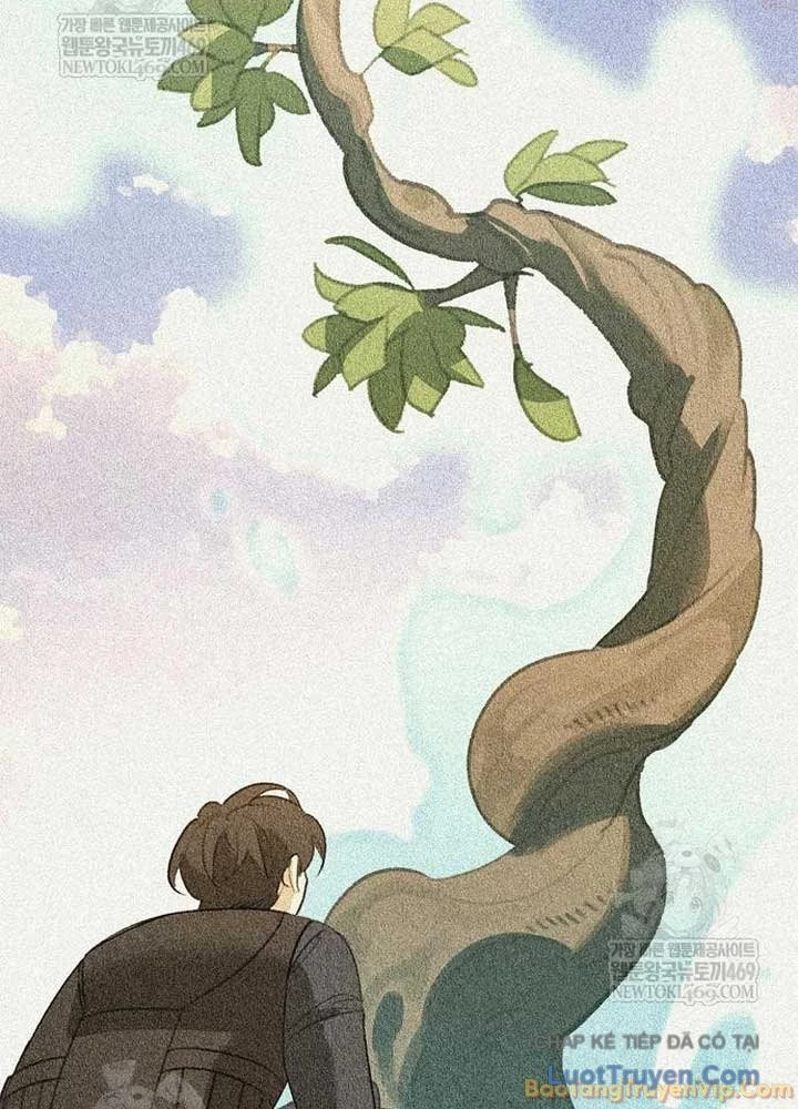 Healer Cấp S Chữa Trị Cho Quái Vật Chapter 45 - 71