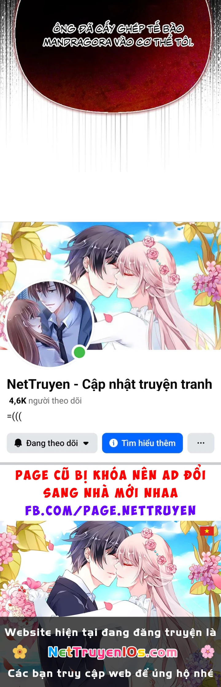 Healer Cấp S Chữa Trị Cho Quái Vật Chapter 47 - 228