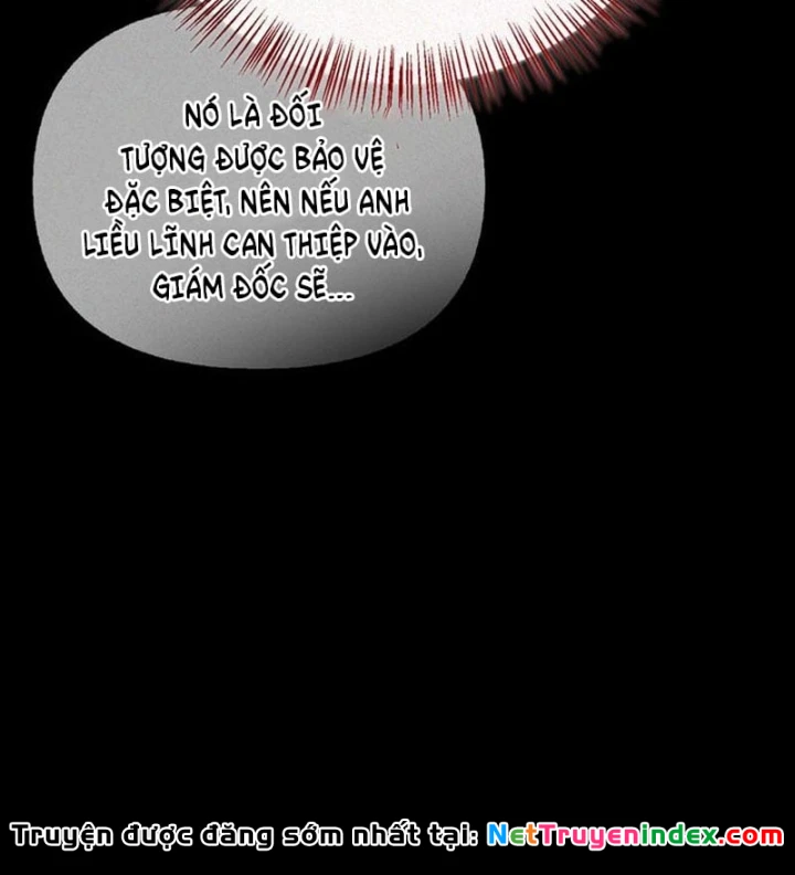 Healer Cấp S Chữa Trị Cho Quái Vật Chapter 48 - 80