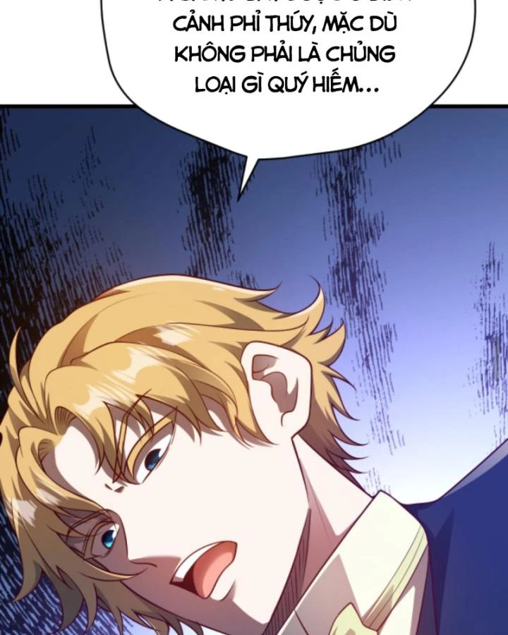 Cả Server Đều Muốn Ám Sát Ta Chapter 78 - 11