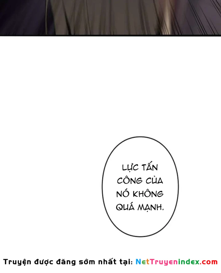 Hồi Quy: Tận Thế Báo Thù Chapter 49 - 12