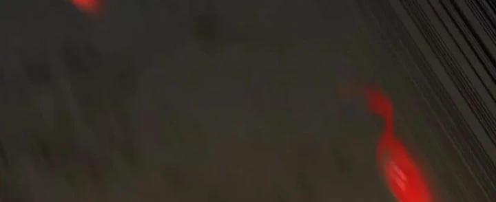 Tiến Hóa Ban Đầu Chapter 47 - 79