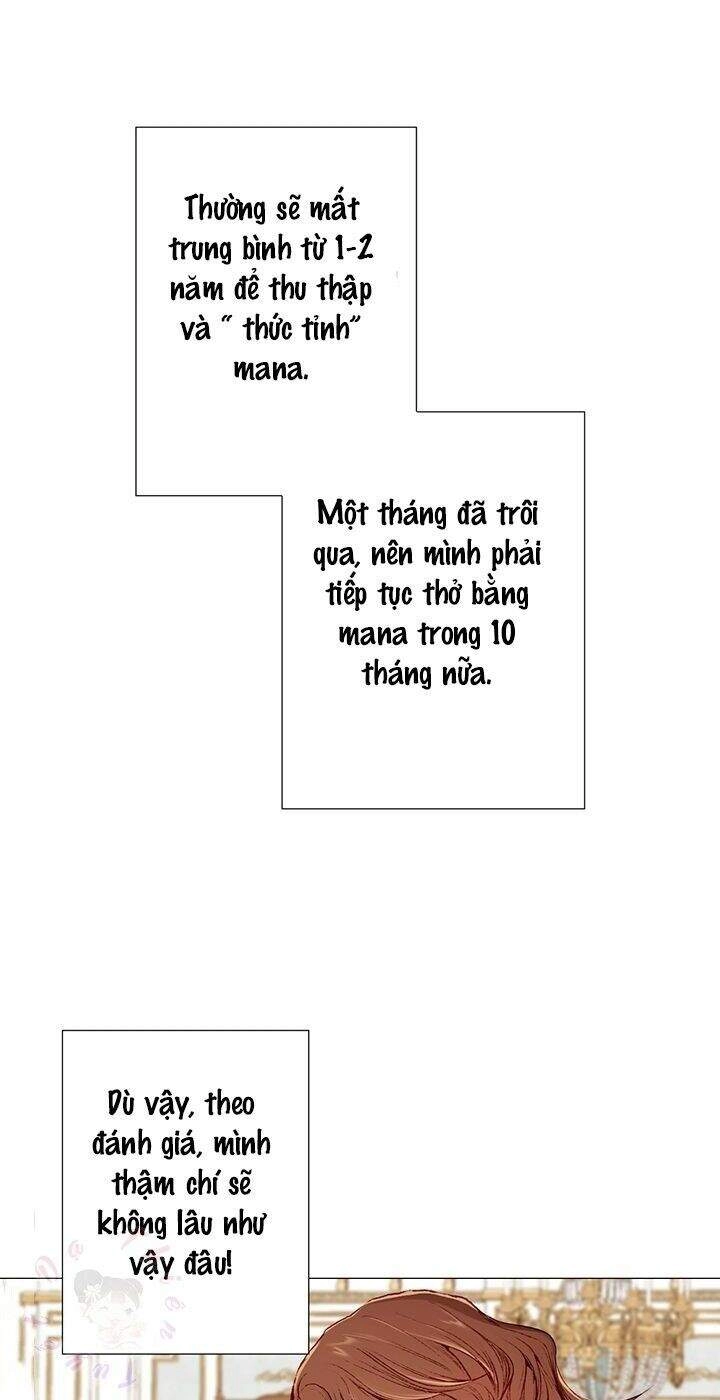 Trở Thành Tiểu Thư Xấu Xí Chapter 4 - 16