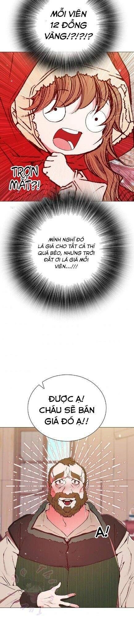 Trở Thành Tiểu Thư Xấu Xí Chapter 19 - 28