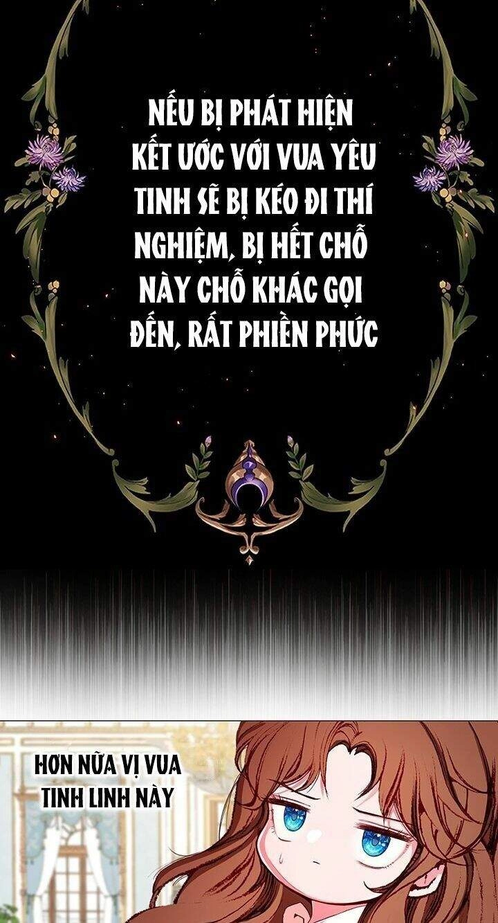 Trở Thành Tiểu Thư Xấu Xí Chapter 21 - 16