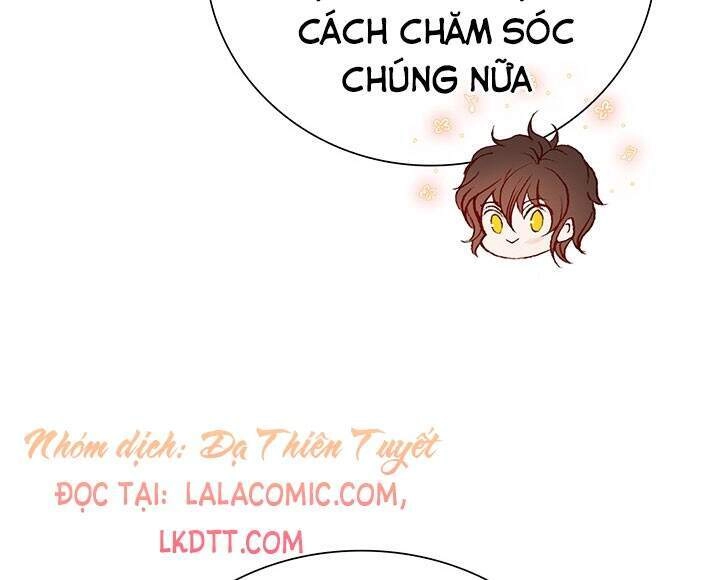 Trở Thành Tiểu Thư Xấu Xí Chapter 48 - 17