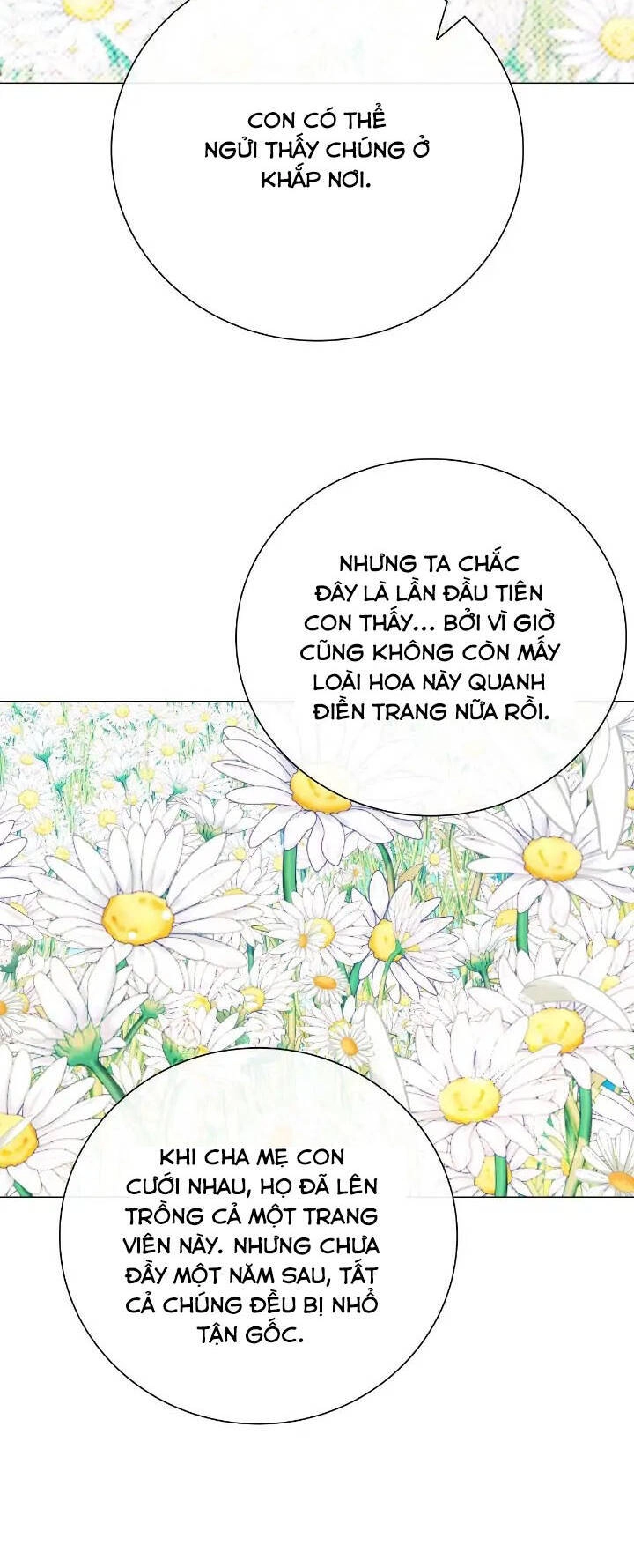 Trở Thành Tiểu Thư Xấu Xí Chapter 95 - 39