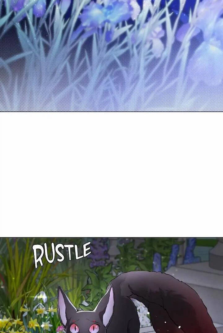 Trở Thành Tiểu Thư Xấu Xí Chapter 111 - 18