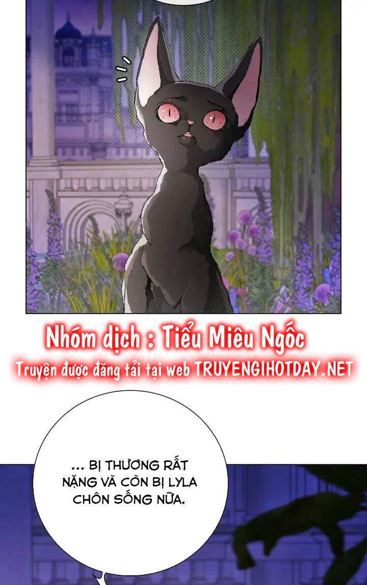 Trở Thành Tiểu Thư Xấu Xí Chapter 111 - 25