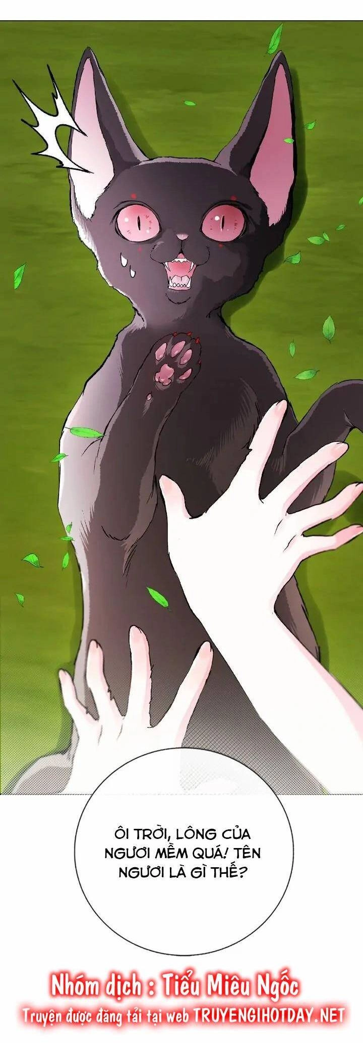 Trở Thành Tiểu Thư Xấu Xí Chapter 131 - 21