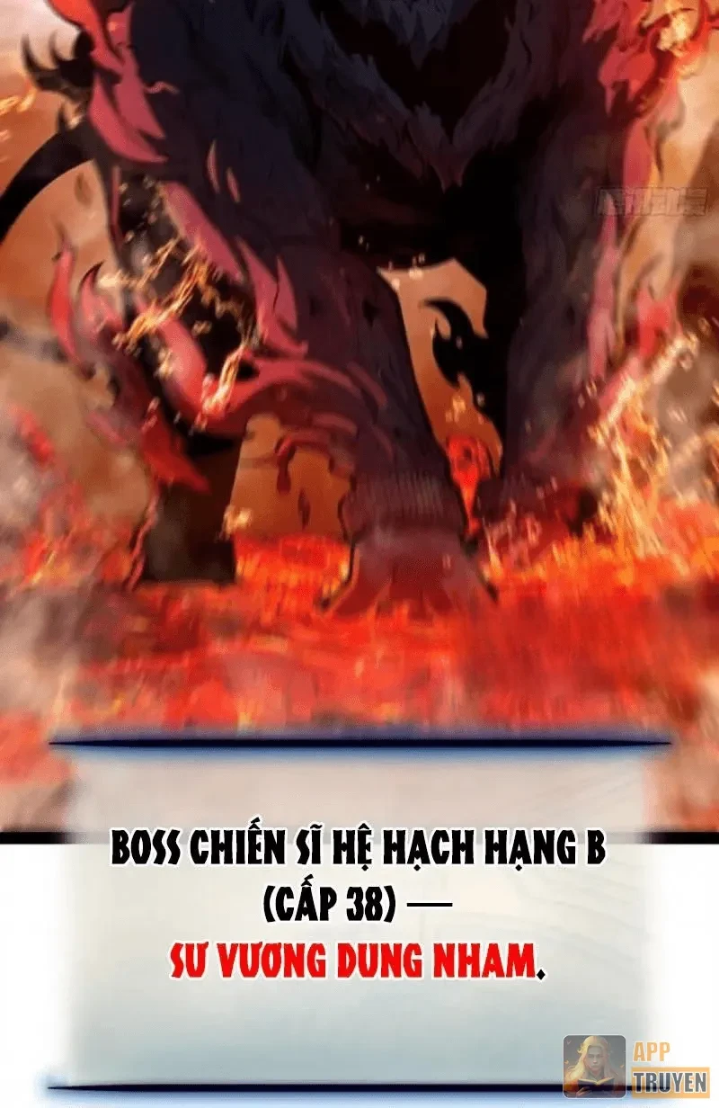 Thức Tỉnh Toàn Chức Chapter 147 - 14