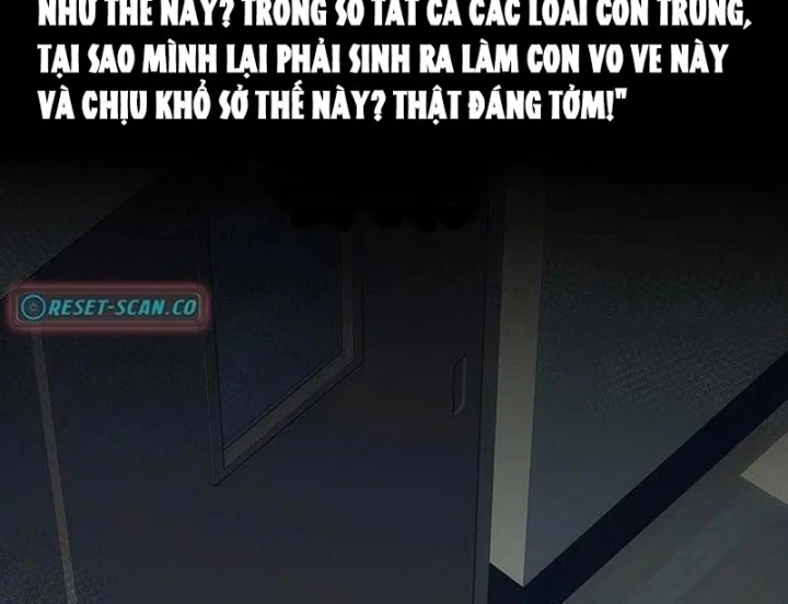 Tôi Sẽ Cho Bạn Biết Bạn Đáng Giá Bao Nhiêu Chapter 40 - 168