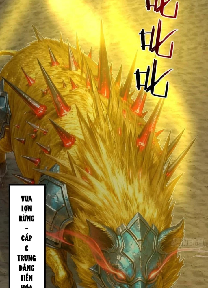 Sau Khi Đầu Thai, Ta Được Kẻ Thù Khắc Thành Vô Địch Chapter 27 - 29