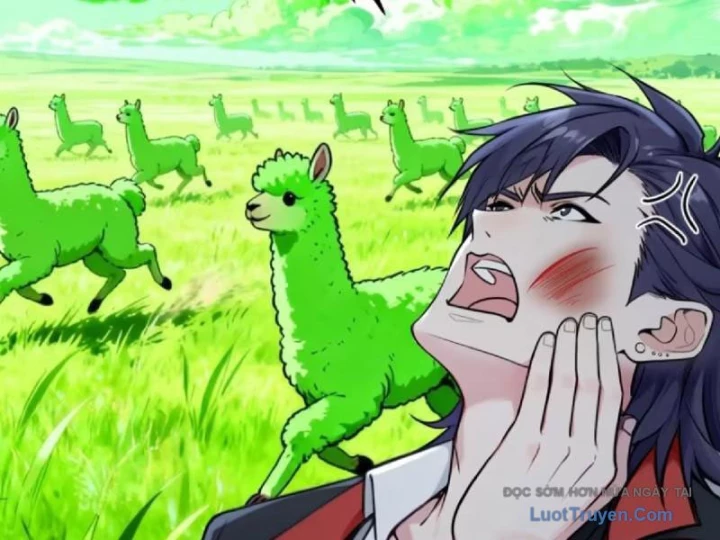 Sau Khi Đầu Thai, Ta Được Kẻ Thù Khắc Thành Vô Địch Chapter 33 - 89