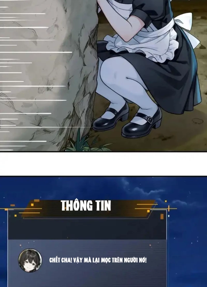 Sau Khi Đầu Thai, Ta Được Kẻ Thù Khắc Thành Vô Địch Chapter 37 - 59