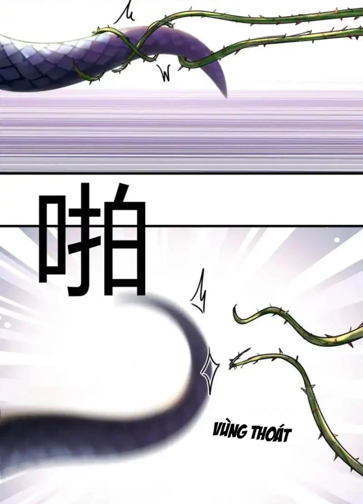 Sau Khi Đầu Thai, Ta Được Kẻ Thù Khắc Thành Vô Địch Chapter 40 - 89