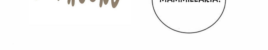 Kết Thúc Nhất Định Sẽ Có Hậu Chapter 50 - 52