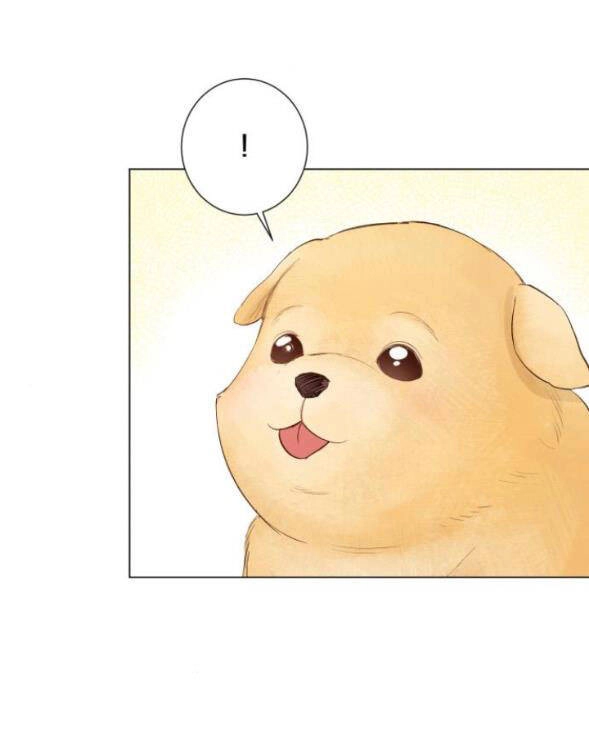 Kết Thúc Nhất Định Sẽ Có Hậu Chapter 79.2 - 3