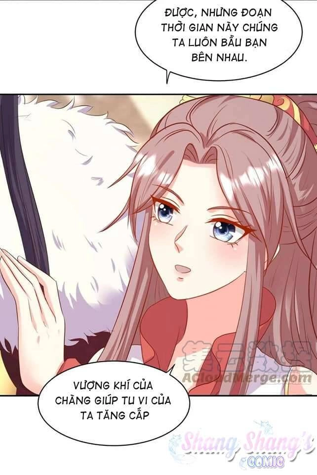 Vương Gia Khắc Thê Chapter 118 - 19