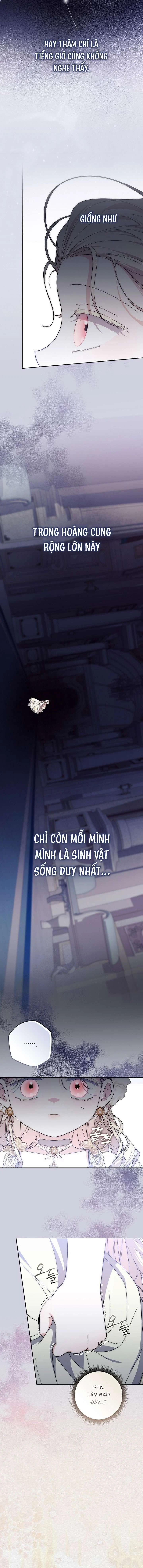 Nam Chính Ám Ảnh Với Sức Khỏe Của Tôi Chapter  59 - 5