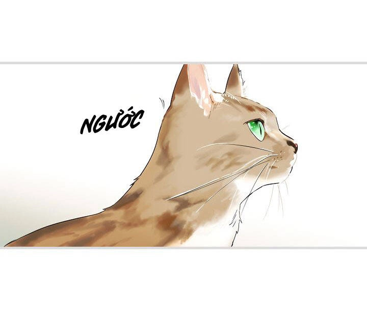 Câu Chuyện Cổ Tích Của Mẹ Kế Chapter 54 - 70