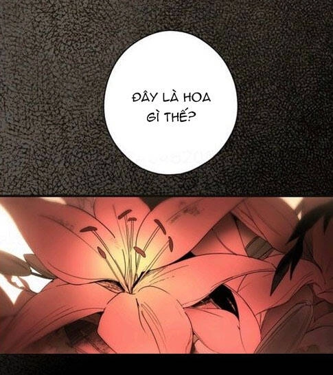 Câu Chuyện Cổ Tích Của Mẹ Kế Chapter 57 - 14