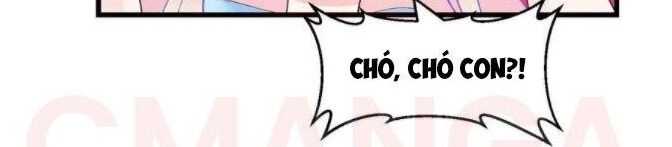 Ta Chẳng Qua Là Một Đại La Kim Tiên Chapter 71 - 19