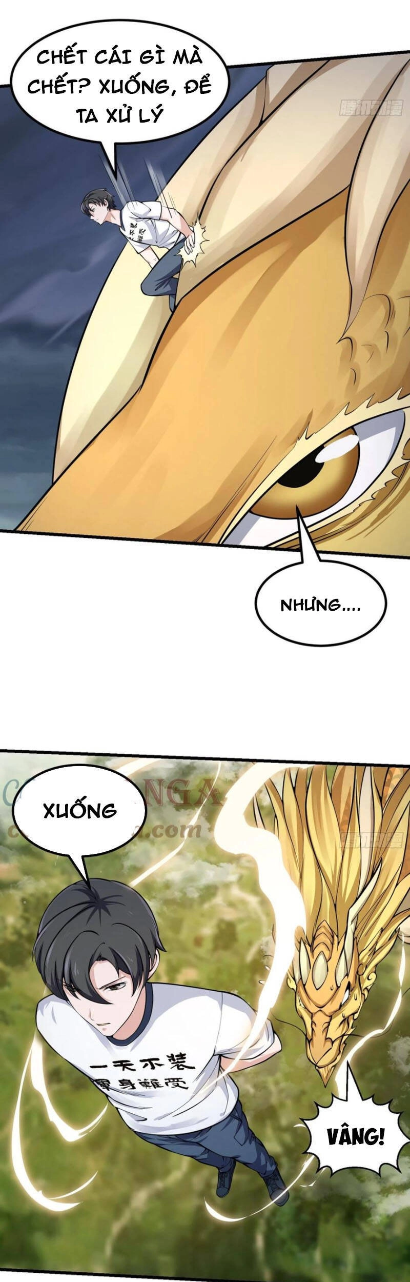 Ta Chẳng Qua Là Một Đại La Kim Tiên Chapter 190 - 26