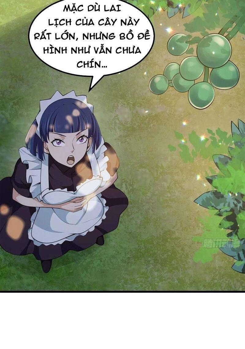 Ta Chẳng Qua Là Một Đại La Kim Tiên Chapter 260 - 4