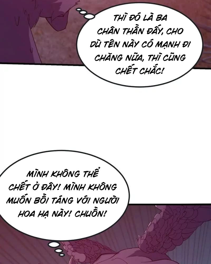 Ta Chẳng Qua Là Một Đại La Kim Tiên Chapter 369 - 36