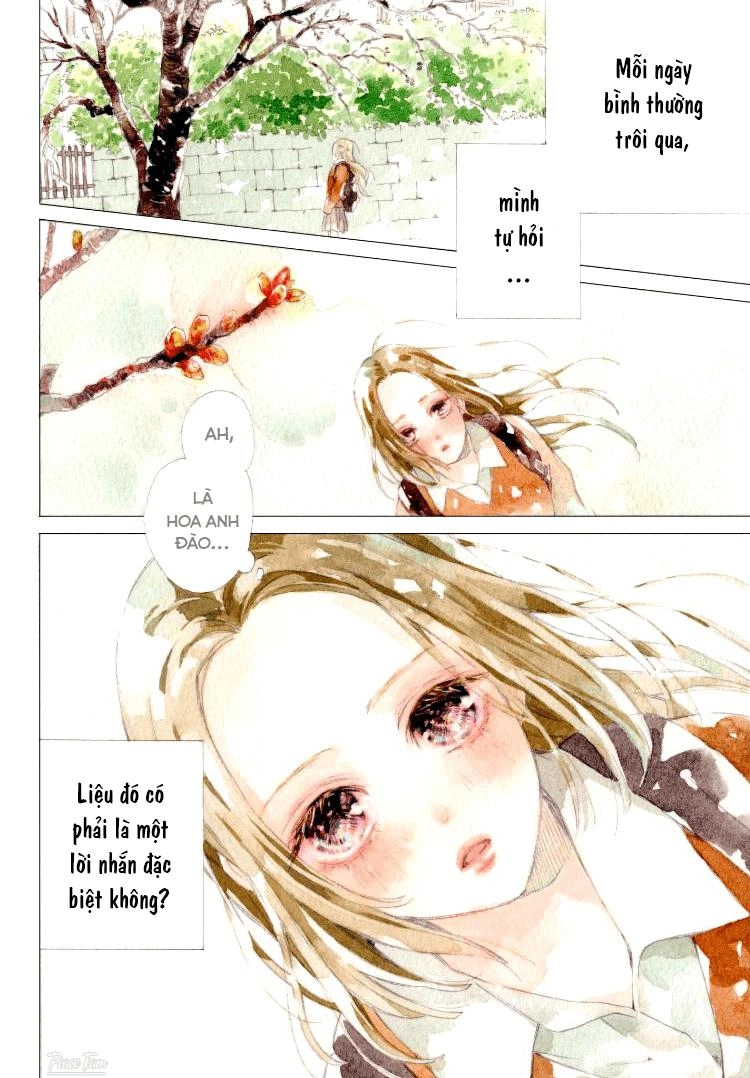 Nàng Tiểu Thư Và Chàng Vệ Sĩ Chapter 1 - 5