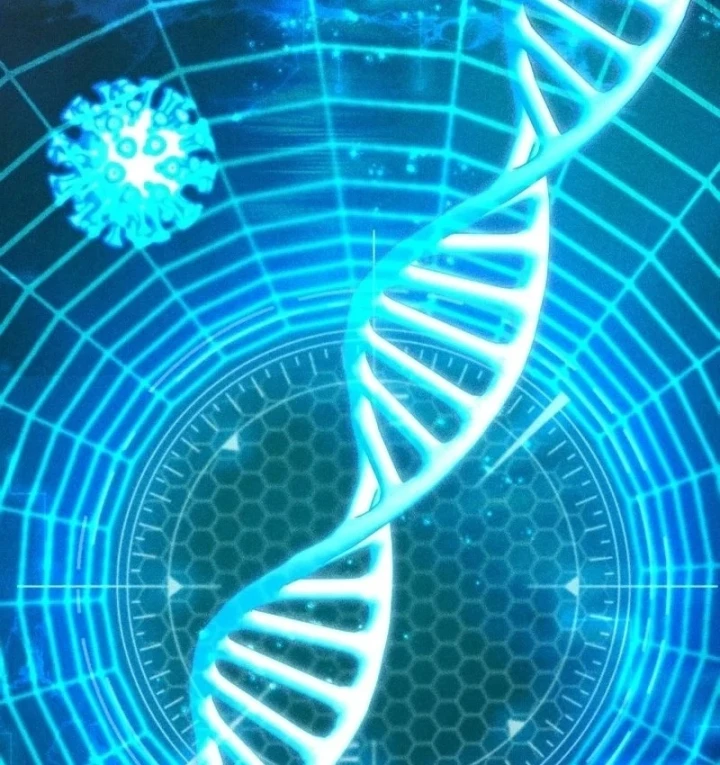 Trở Thành Man Di Ở Thế Giới Fantasy Chapter 52 - 22