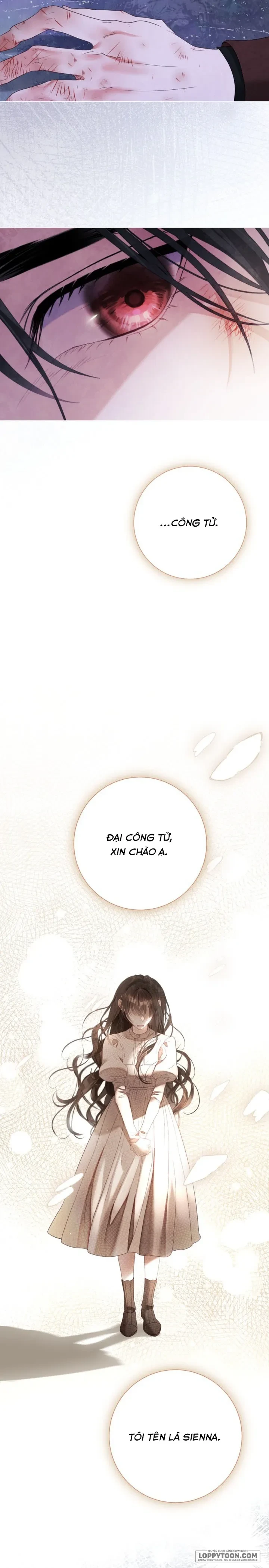 Một Thế Giới Không Có Chị Gái Mà Ai Cũng Yêu Chapter 104 - 3