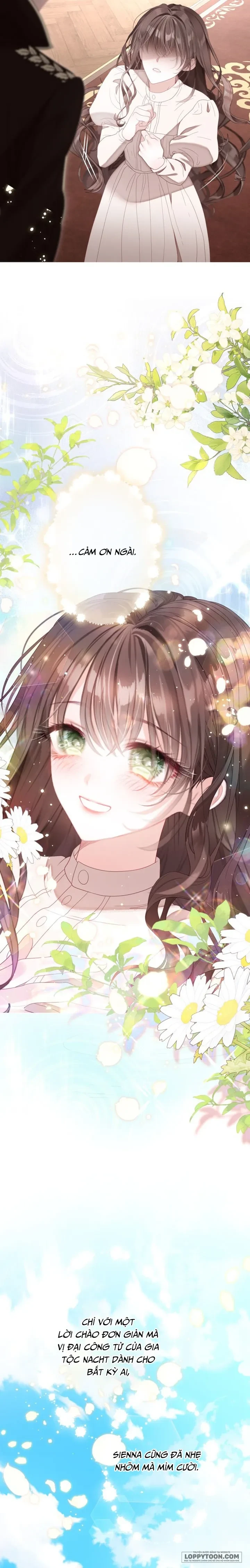 Một Thế Giới Không Có Chị Gái Mà Ai Cũng Yêu Chapter 104 - 7