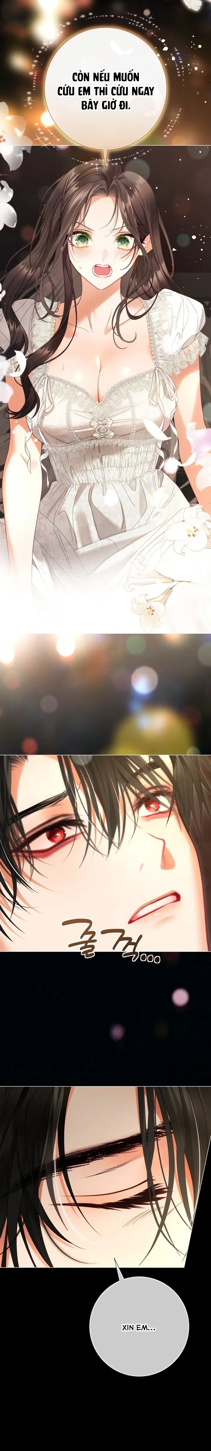 Một Thế Giới Không Có Chị Gái Mà Ai Cũng Yêu Chapter 113 - 6