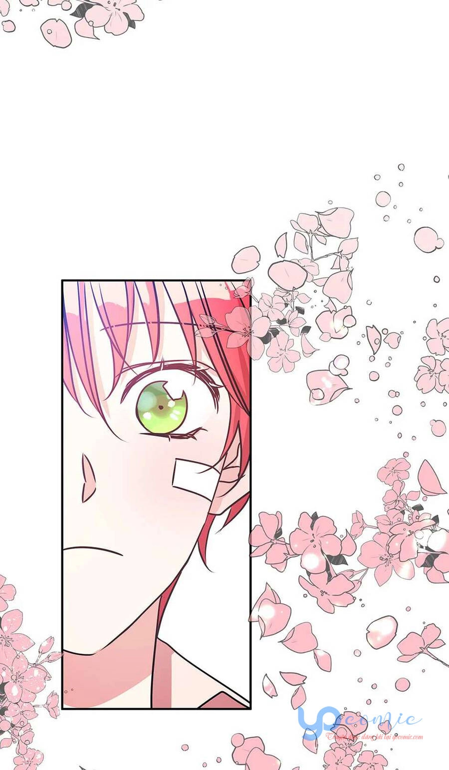 Người Hầu Của Tôi Chapter 80 - 45