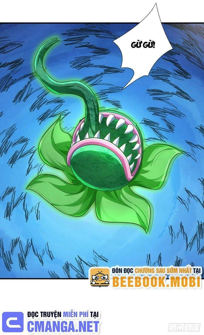 Ta Trở Về Từ Thế Giới Tu Tiên Chapter 205 - 11