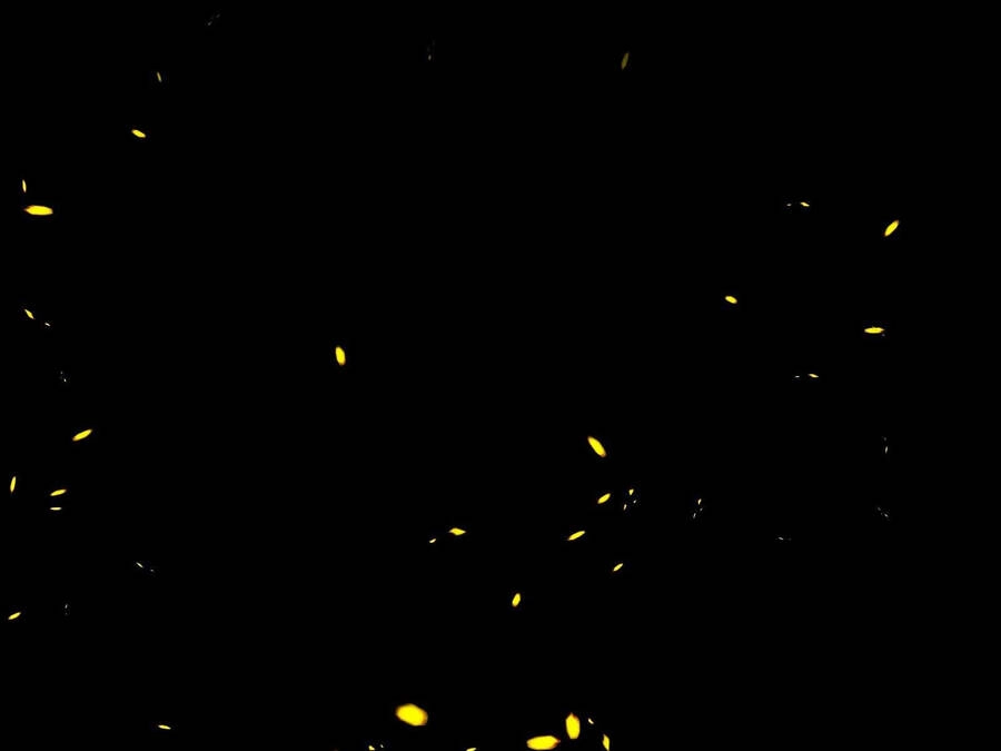 Thiết Huyết Chiêu Hồn Sư Chapter 1 - 42