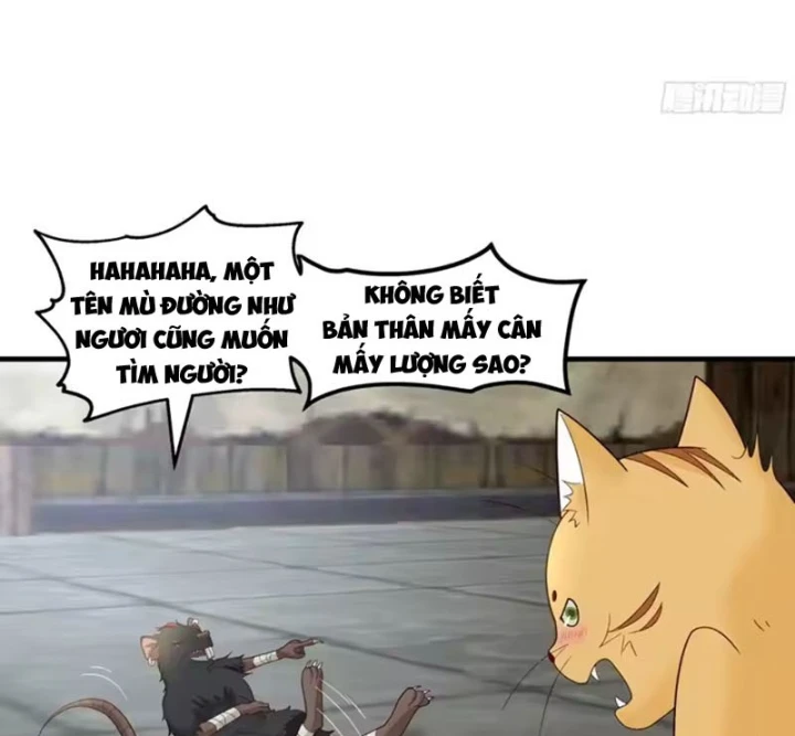 Cựu Nhật Chi Triện Chapter 34 - 60