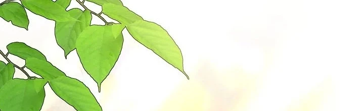 Hồi Sinh Huyết Mạch Nam Cung Chapter 35 - 2