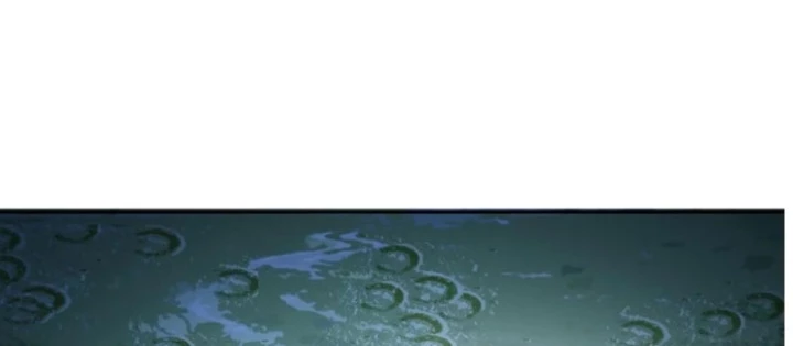 Hoàng Đế Nhà Ta Lại Là Nội Ứng Chapter 21 - 110