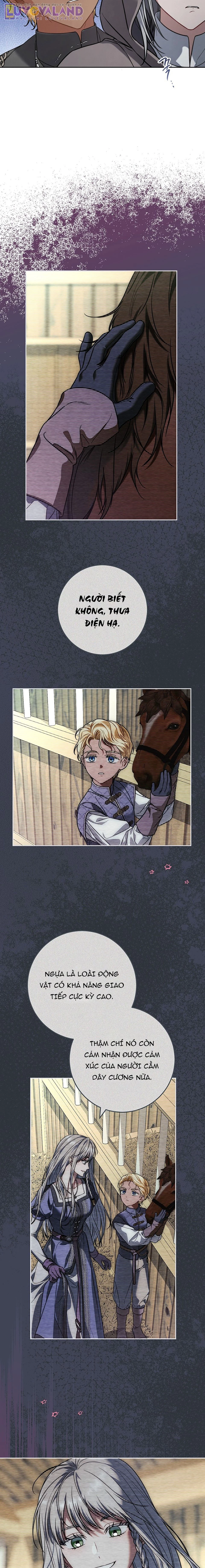 Hôn Nhân Vụ Lợi 2: Bản Tình Ca Không Thể Quên Chapter 24 - 11