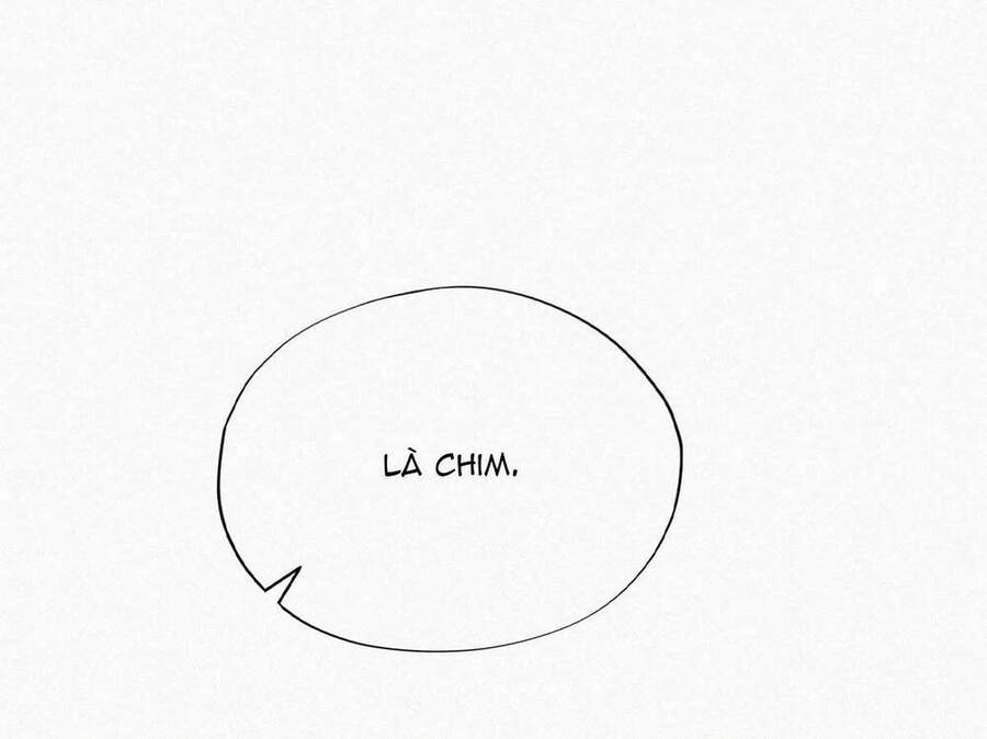 Nghịch Tập Chi Hảo Dựng Nhân Sinh Chapter 156 - 37