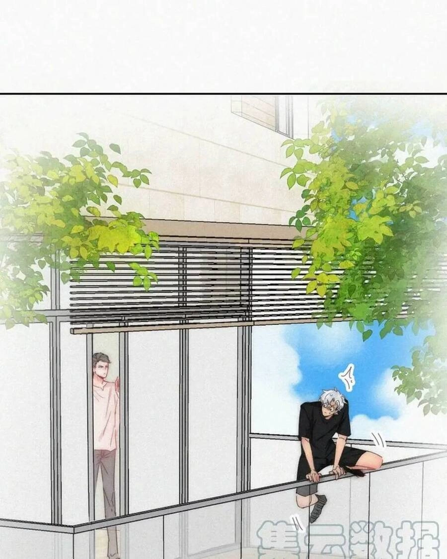 Nghịch Tập Chi Hảo Dựng Nhân Sinh Chapter 303 - 13