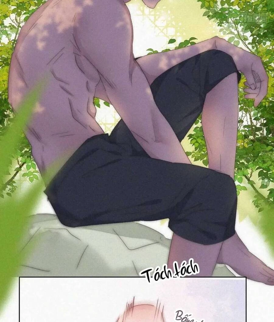 Nghịch Tập Chi Hảo Dựng Nhân Sinh Chapter 304 - 55