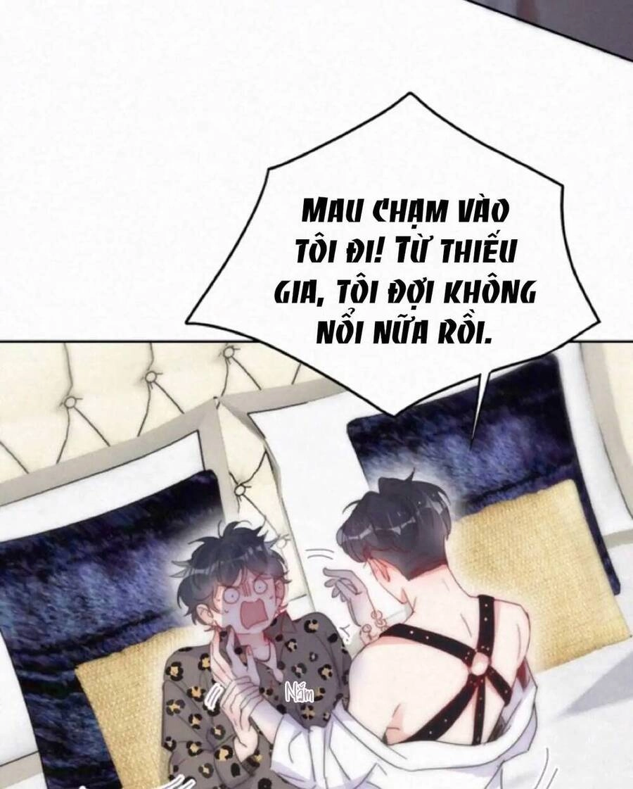 Nghịch Tập Chi Hảo Dựng Nhân Sinh Chapter 318 - 7