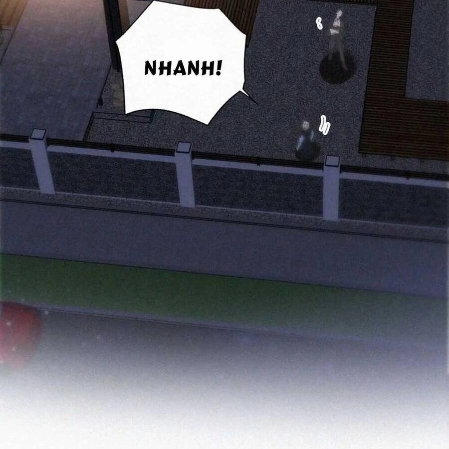 Nghịch Tập Chi Hảo Dựng Nhân Sinh Chapter 319 - 19