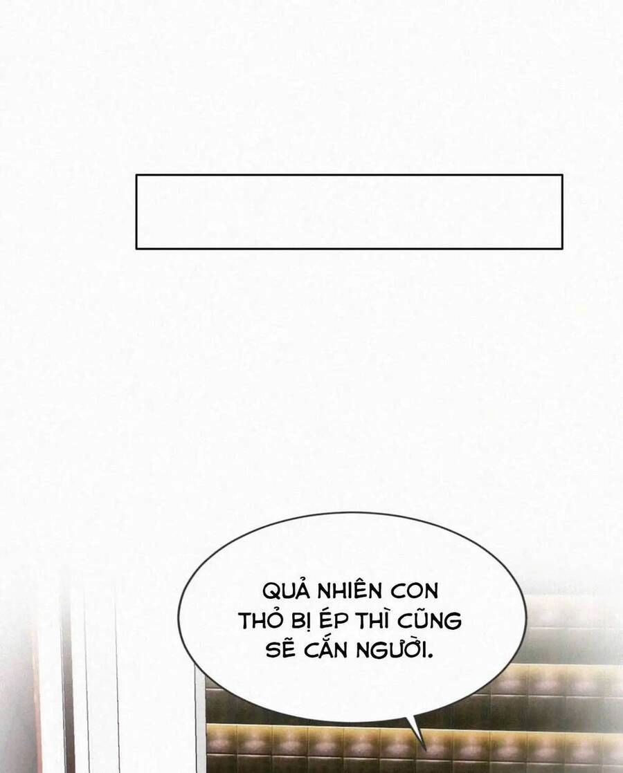 Nghịch Tập Chi Hảo Dựng Nhân Sinh Chapter 323 - 38